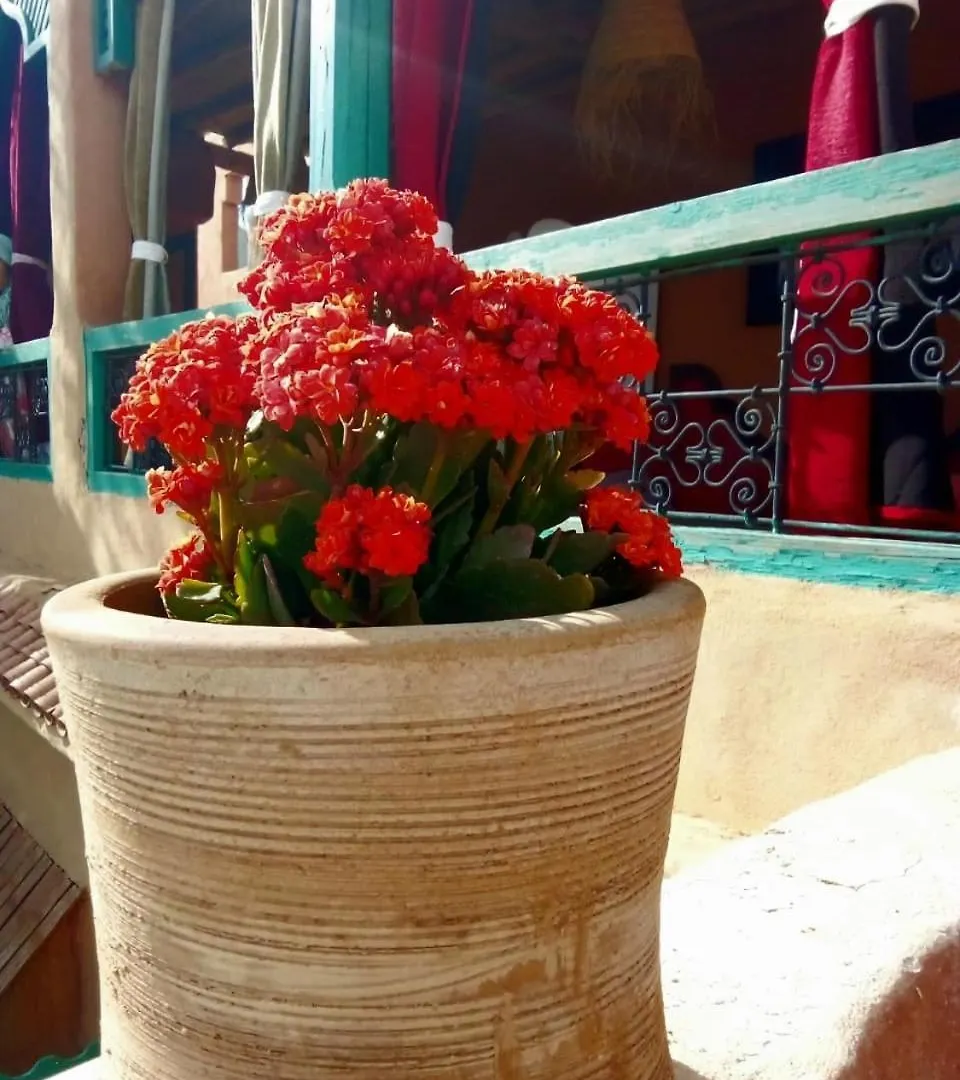 Maison Des Maitres Marrakesh Holiday home