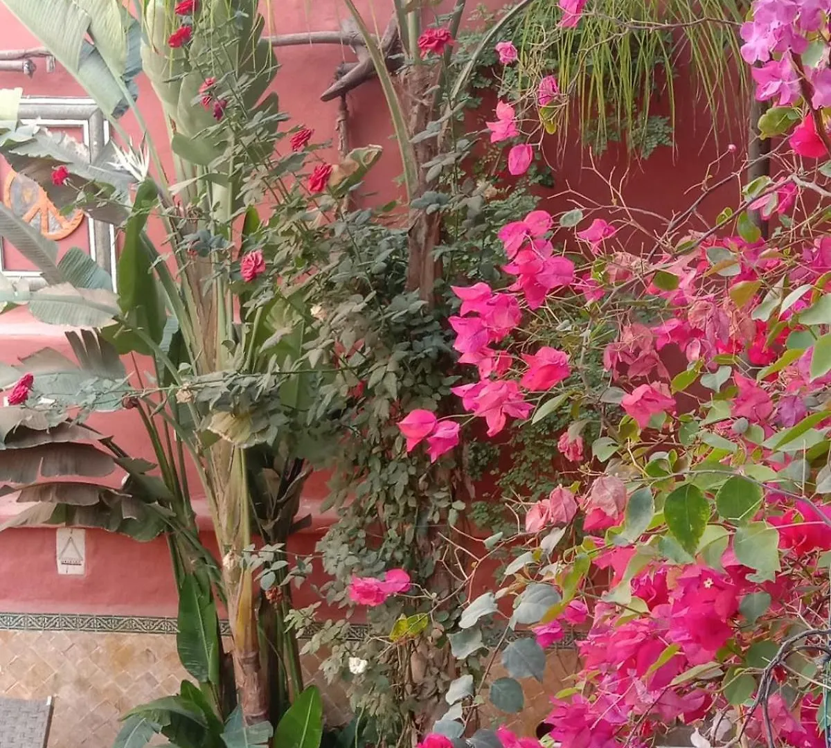 Maison Des Maitres Marrakesh