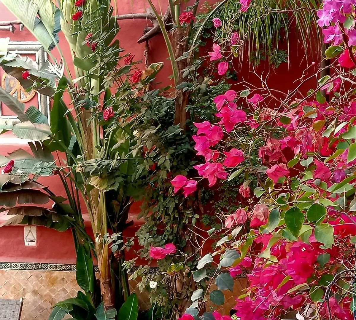 Maison Des Maitres Marrakesh Holiday home