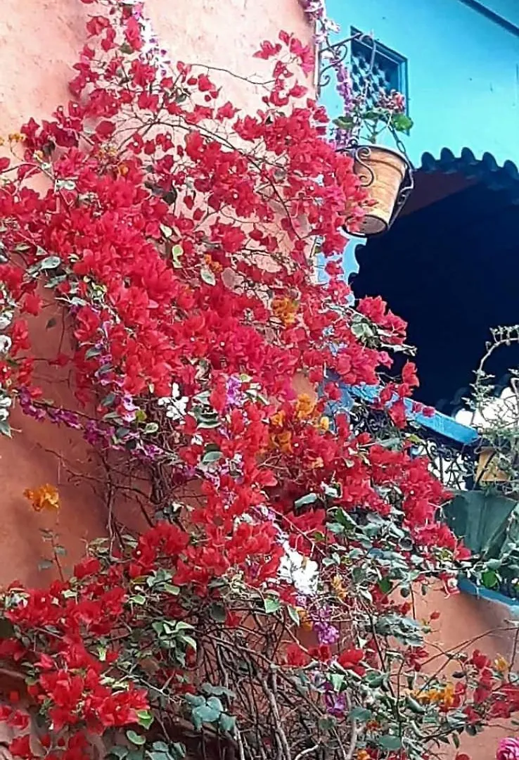 Holiday home Maison Des Maitres Marrakesh